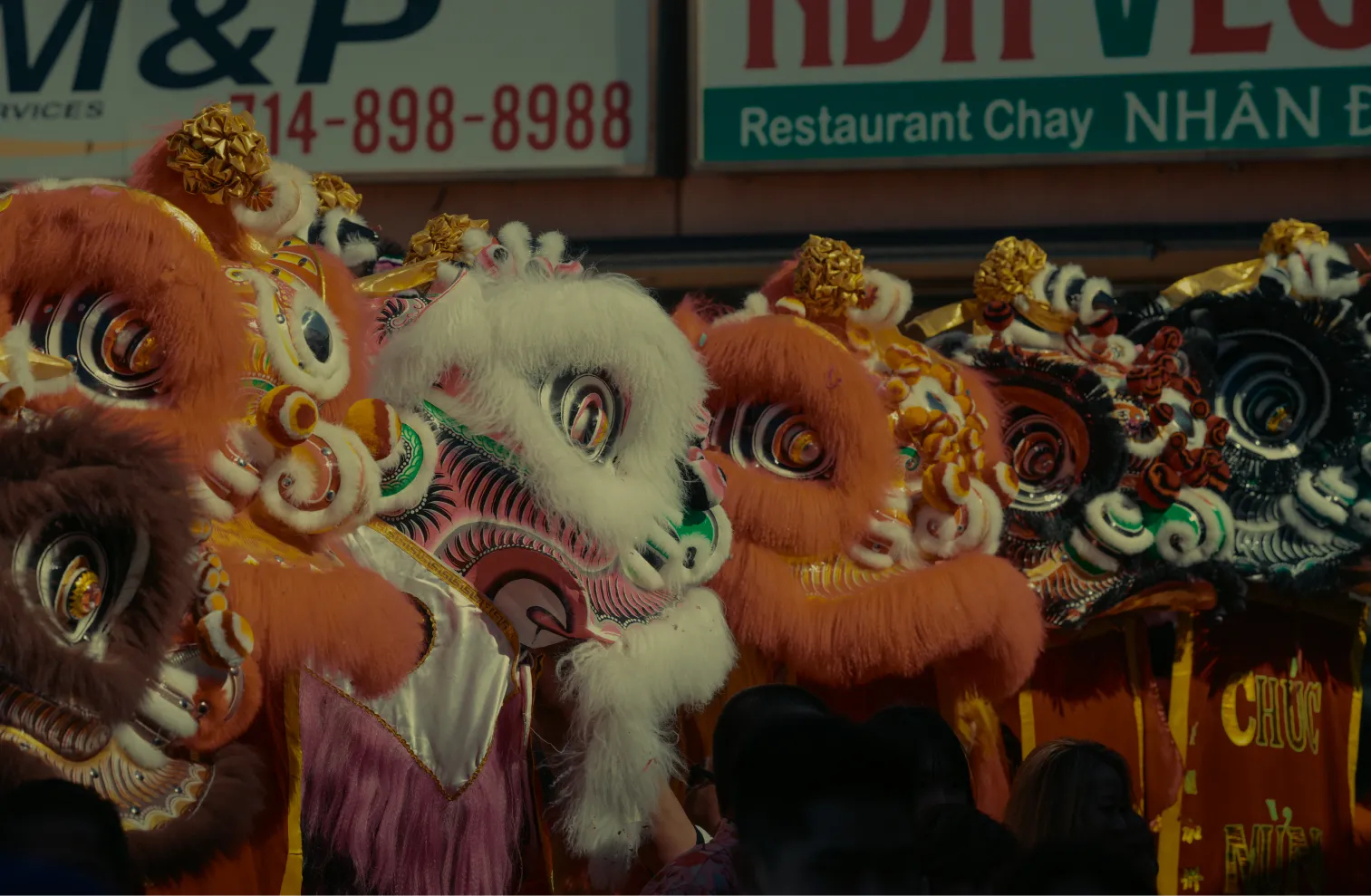 Tyun Yee Tong lion dancers mid-performance