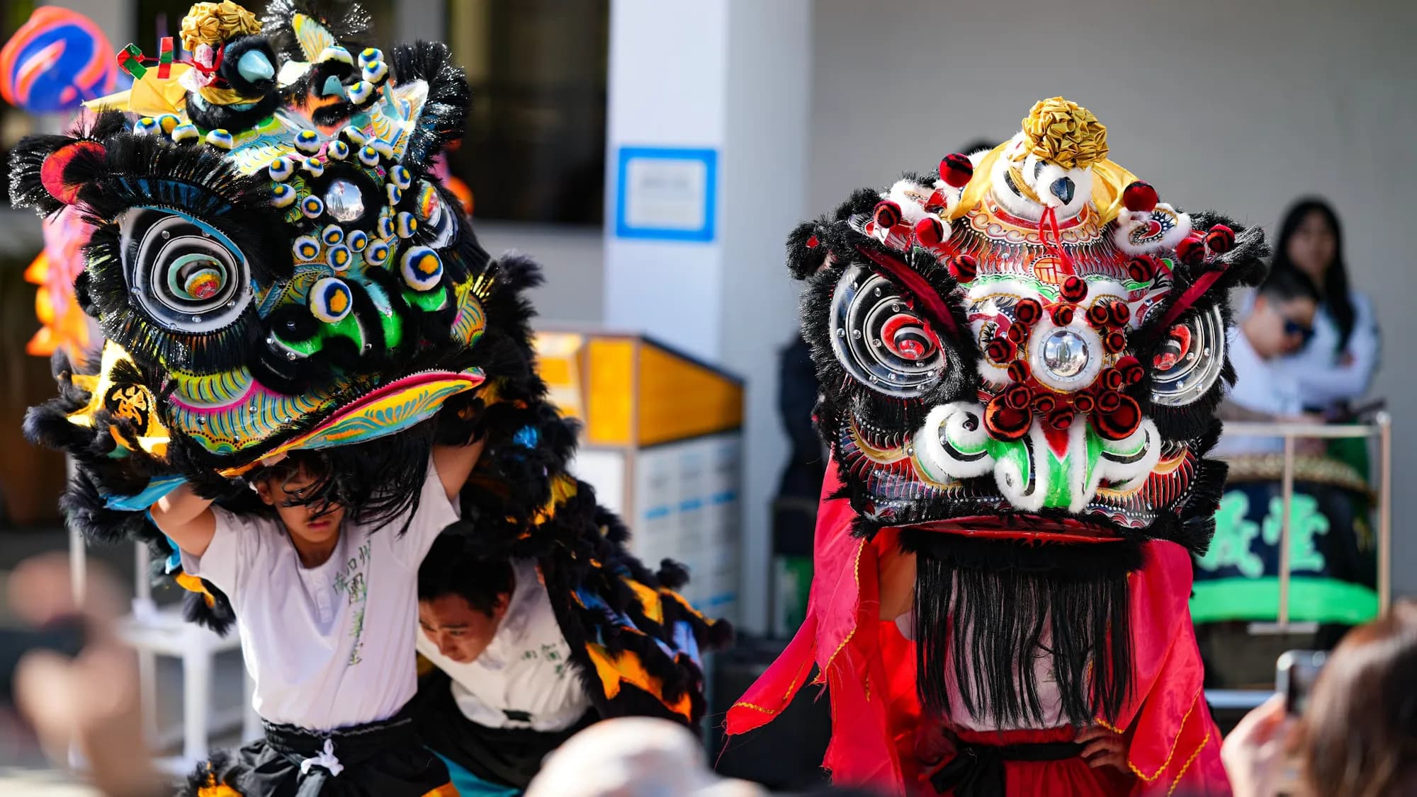 Lion Dance performance by Tyun Yee Tong
